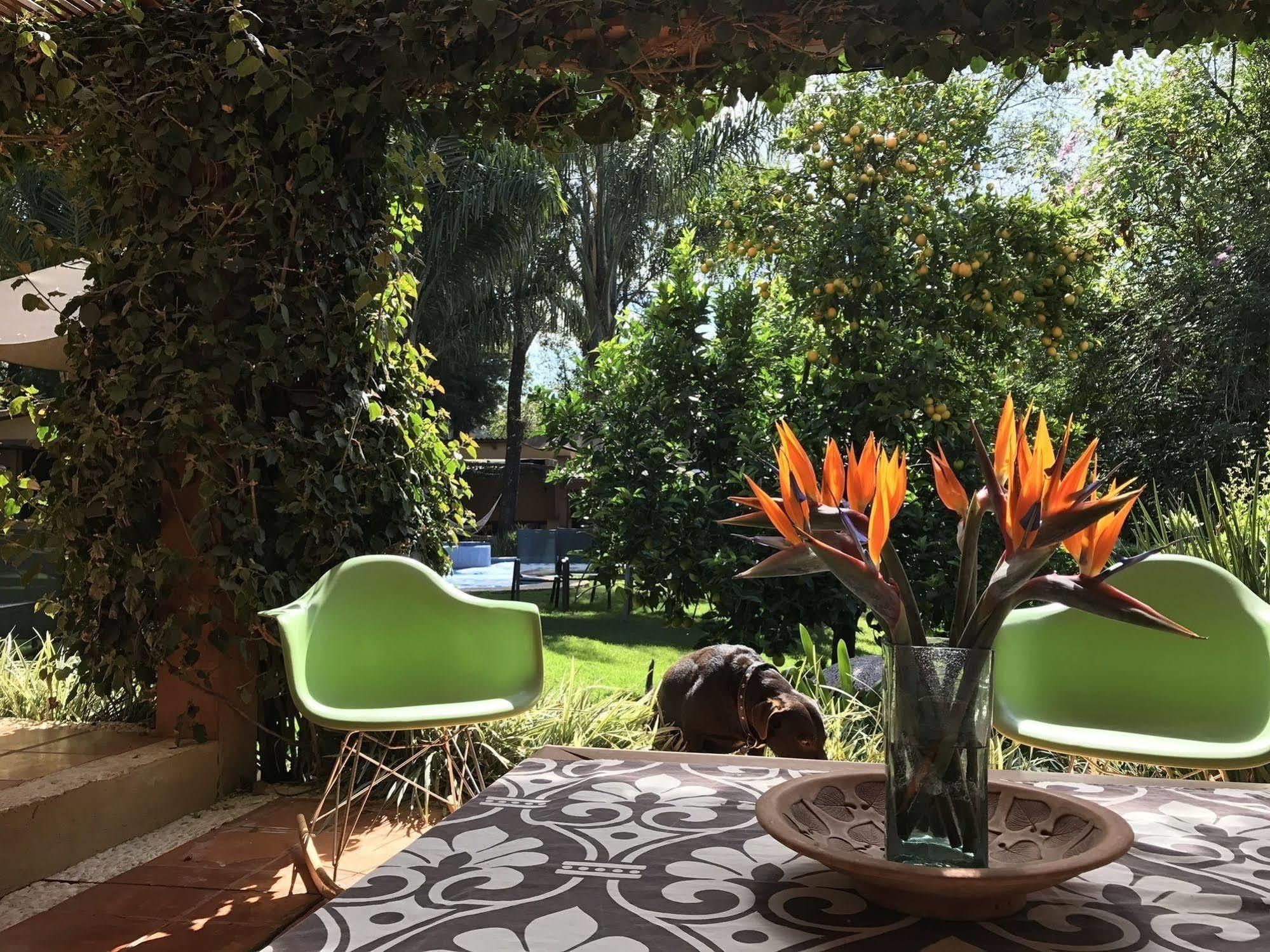 Bed and Breakfast La Joya Del Viento Валье-де-Браво Экстерьер фото